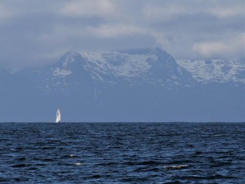 P1022153