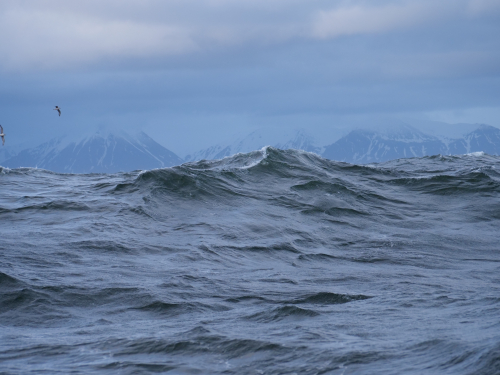 P1033596