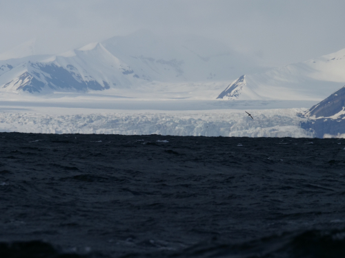 P1033681