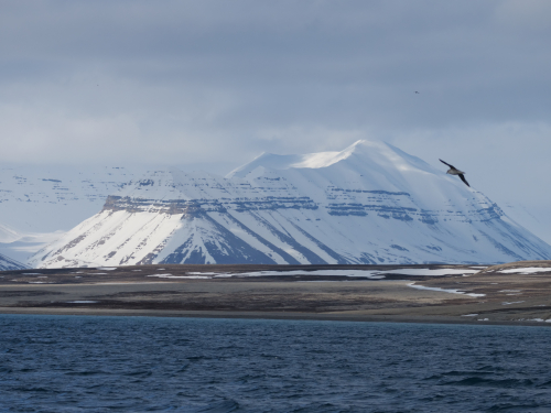 P1033967