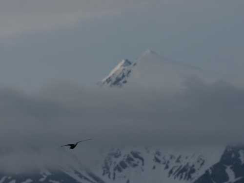 P1044736