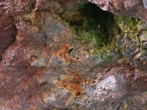 P1045116