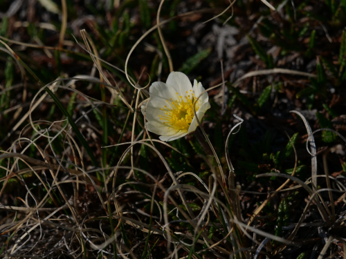 P1055778
