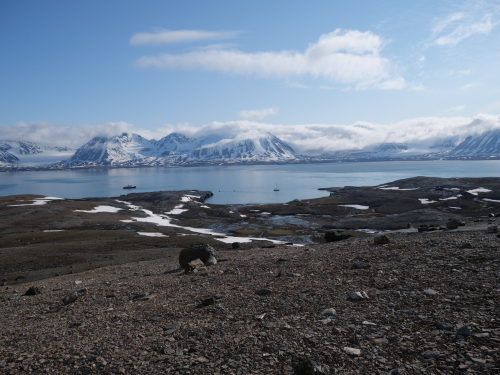 P1055787